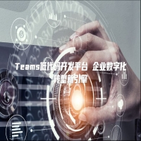 Teams低代码开发平台 企业数字化转型新引擎