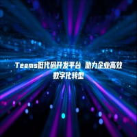 Teams低代码开发平台 助力企业高效数字化转型