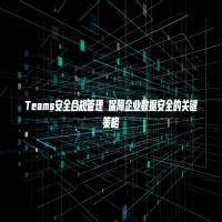 Teams安全合规管理 保障企业数据安全的关键策略