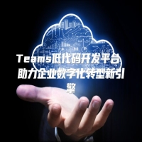 Teams低代码开发平台 助力企业数字化转型新引擎
