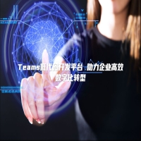 Teams低代码开发平台 助力企业高效数字化转型