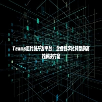 Teams低代码开发平台：企业数字化转型的高效解决方案