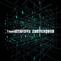 Teams低代码开发平台 企业数字化转型新引擎